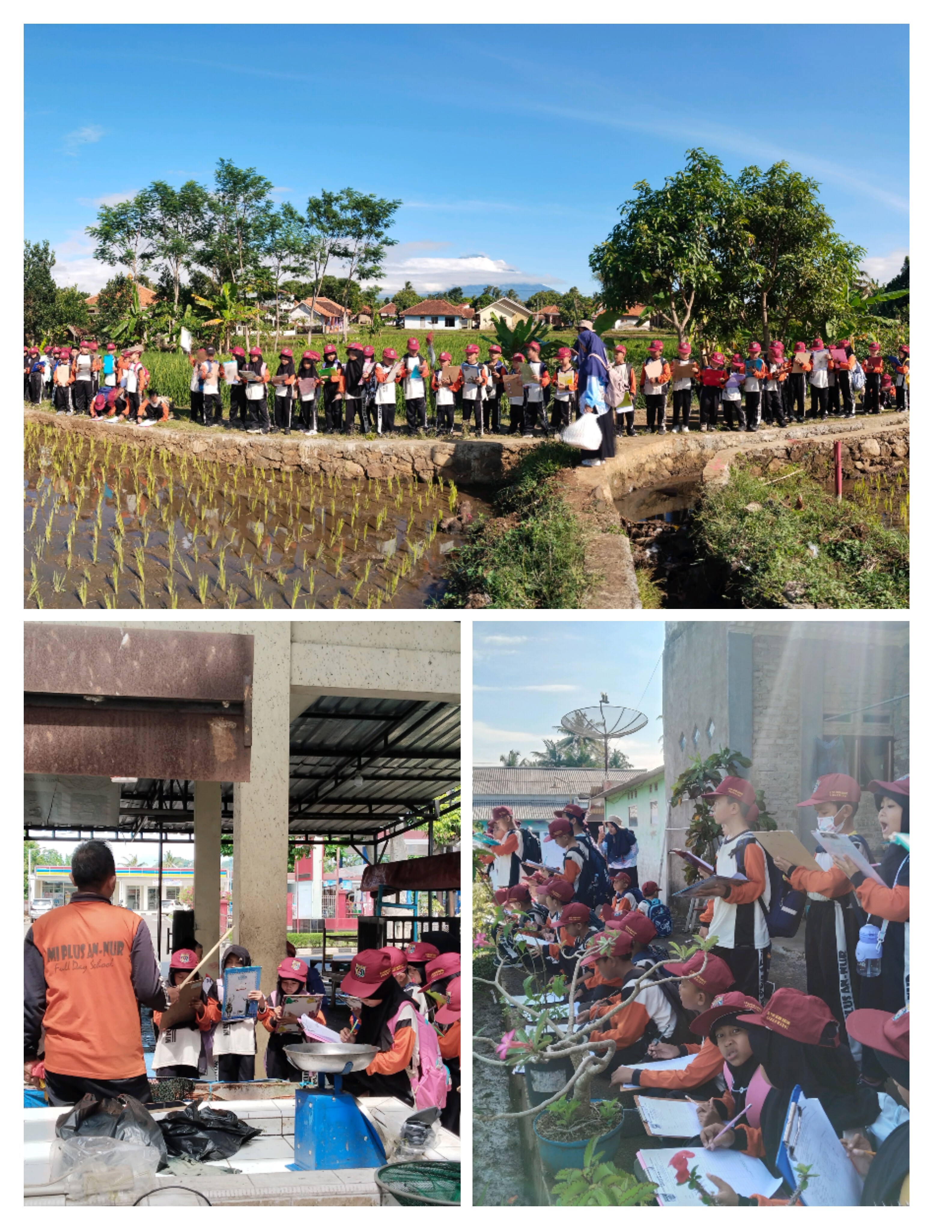 OUTBOUND KELAS 2: LINGKUNGAN SEKITAR DAN PASAR IKAN